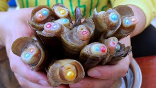 Download lagu Pearl shell Deep sea shell blown to shore by typho... mp3
