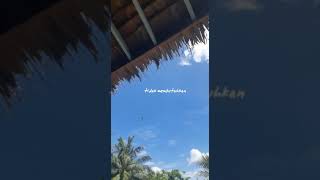 Download lagu Bilang Pada Tuhanmu.(Near) story WA mp3 Download lagu Bilang Pada Tuhanmu.(Near) story WA mp3