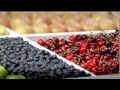 Berry Clear TVC 2010