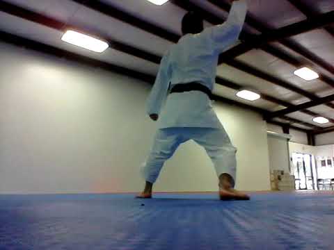 Copy of Gankaku "FLOW"  船越 Funakoshi Shotokan Karate 船越 松濤館空手協会 空手 2017