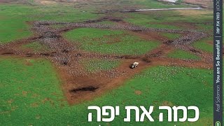 preview picture of video 'כמה את יפה'