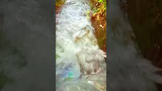 Download lagu STORY WA 30 DETIK | CINEMATIC | sw cinematic di sawah #shorts #cenematik #aesthetic #sawah #fypシ mp3 Download lagu STORY WA 30 DETIK | CINEMATIC | sw cinematic di sawah #shorts #cenematik #aesthetic #sawah #fypシ mp3