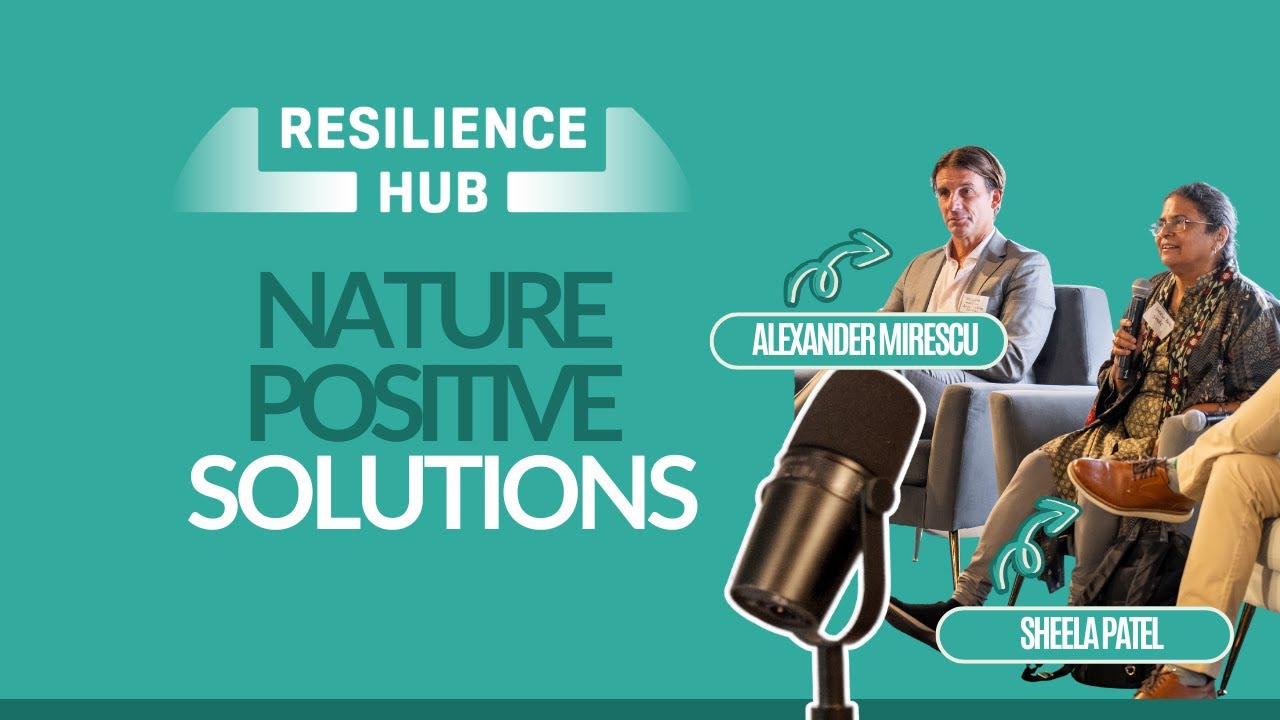 Exploring Nature - Positive Solutions | Resilience Hub at NYC