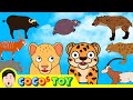 70minㅣA Collection Of Adventures Of African Animalsㅣafrica Animal NamesㅣCoCosToy