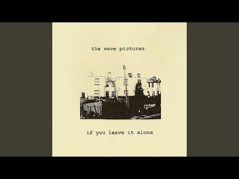 I Thought of You Again - The Wave Pictures