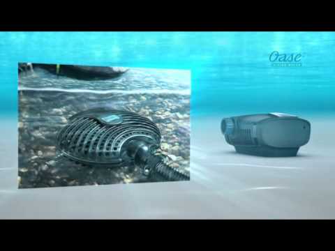 Watch Video on YouTube