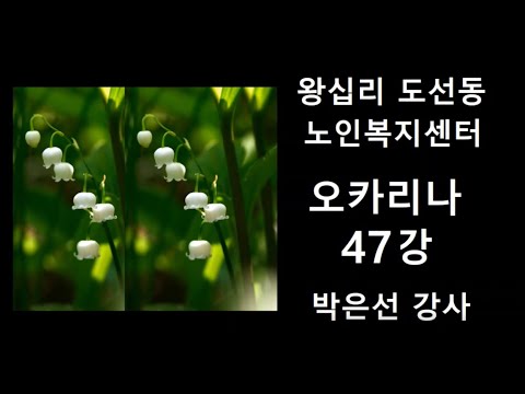 오카리나 47강(2021) width=