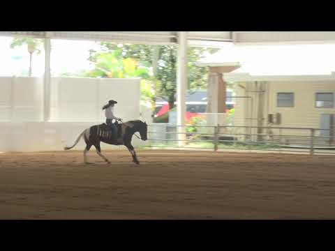 2012011 Green Lilia Woodham on West Mistress Whiz