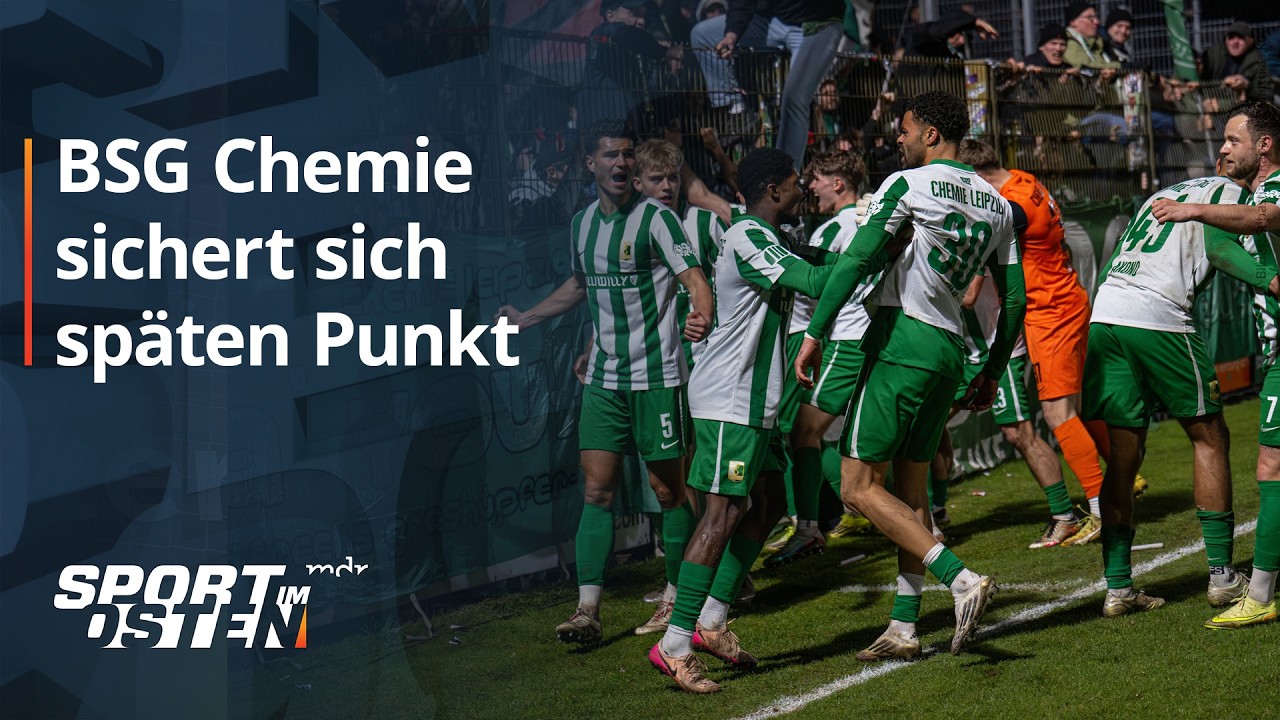 VSG Altglienicke vs BSG Chemie Leipzig Highlights
