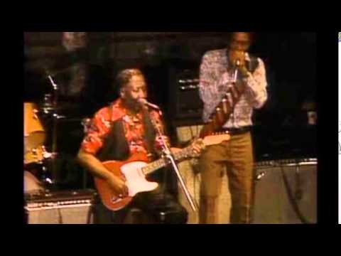 Muddy Waters & Rory Gallagher [ 1 ] ~ Tribute ( Electric Chicago Blues 1972)