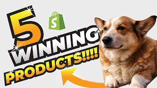 5 Winning Products to Sell on Your Shopify Store (Perfect Example)