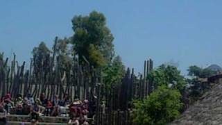 Bioparc I