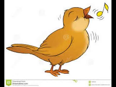 On ne peut plus rien dire (Bertysolo & South London HiFi) 🎧