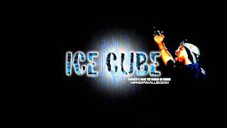 Ice Cube   Your Money Or Your Life