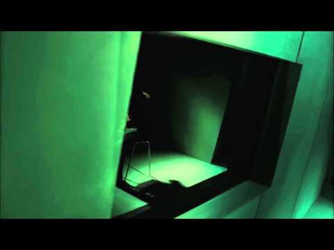 SFJFF 34 Presents: The Green Prince Trailer