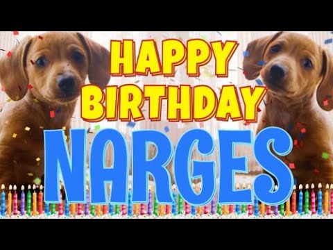Happy Birthday Narges! ( Funny Talking Dogs ) What Is Free On My Birthday