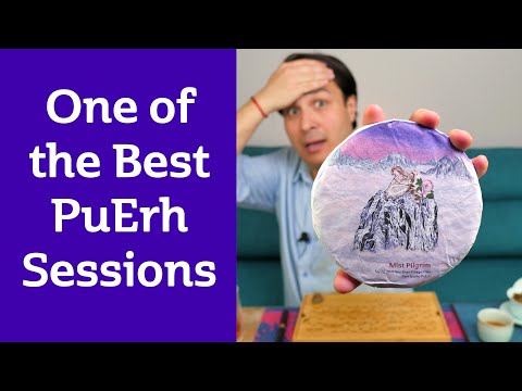 Mind Blowing Yiwu PuErh - MIST PILGRIM