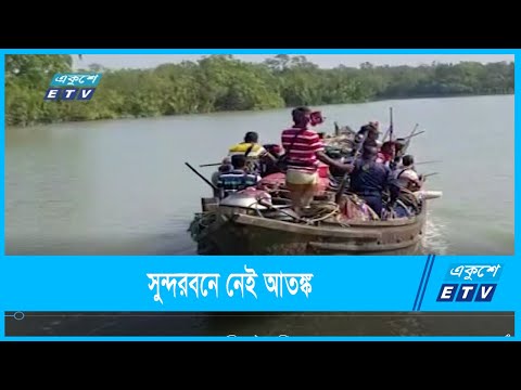প্রাণ ফিরেছে সুন্দরবনে