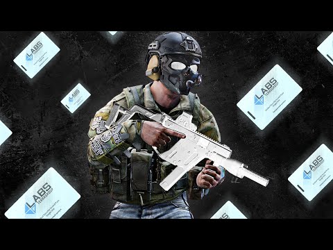 I Played 30 SOLO Labs Raids...