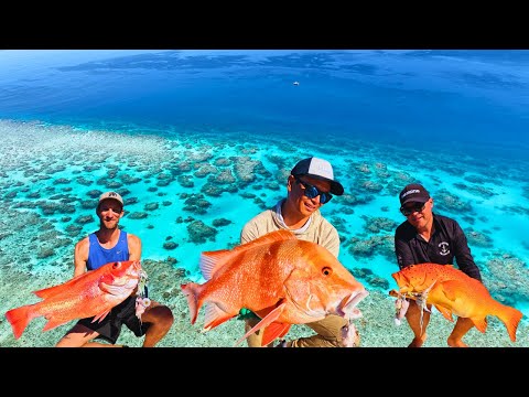 How To Find & Catch Trophy Reef Fish Consistently On The Great Barrier Reef