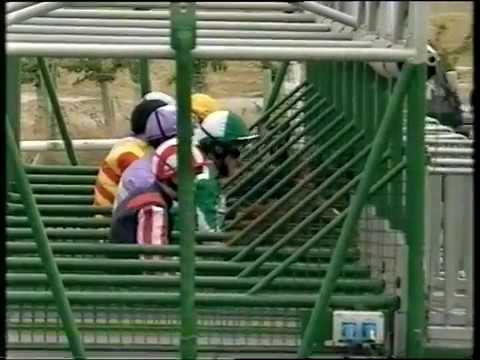 2000 Dubai Duty Free Mill Reef Stakes