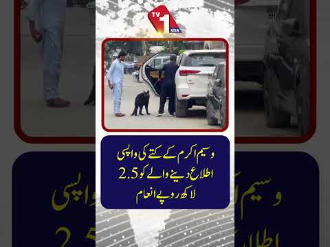 وسیم اکرم کے کتے کی واپسی کتنا انعام ملا۔۔۔؟