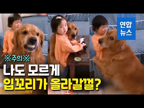 막아주고 안아주고 대신 혼나고..