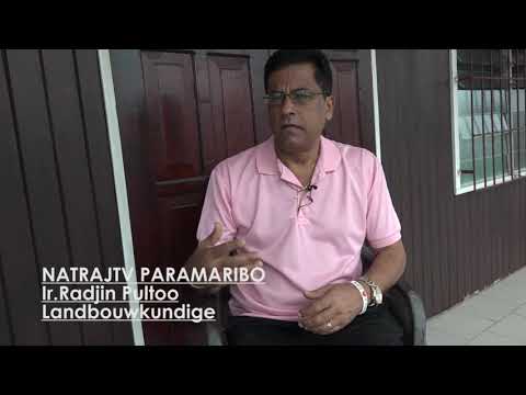 Natraj TV Lifestyle - Ir Radjin Pultoo Mediator Paramaribo