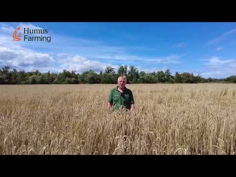 Teil 1 - Regenerative Landwirtschaft Friedrich Wenz HumusFarming- Hauptkulturen 2023