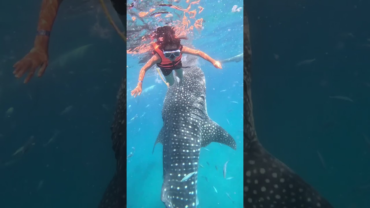 YouTube Short thumbnail