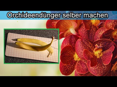 , title : 'Bananenschale als Dünger für Orchideen – Der beste Orchideendünger – Dünger selber herstellen'