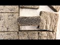 Black Sesame Blondies Soft And Buttery Baking ASMR
