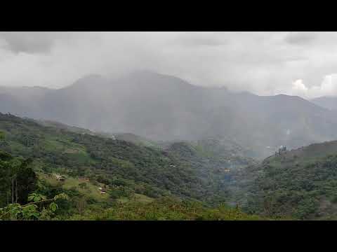 Caminando de Barreta a San Roquito #Barreta #Ola #cordillera #montana #cocle #panamá 