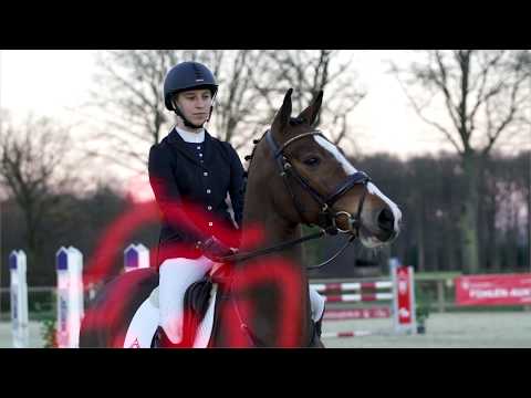 29 Bernabeu Wallach v. Bellini Royal - For Contest