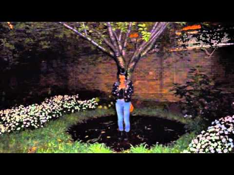 Abadabad - Park Slope