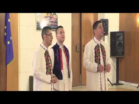 SVETOGLAS - Tonkaya Ryabina - Folk music/ СВЕТОГЛАС - Тонкая Рябина