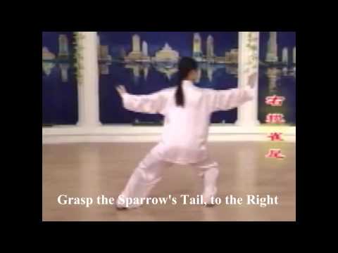 24 Tai Chi video with English subtitles and narrations