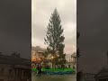 The Worst Trafalgar Square Christmas Tree Ever