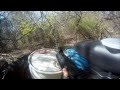 Fox And Hound With The TM15
