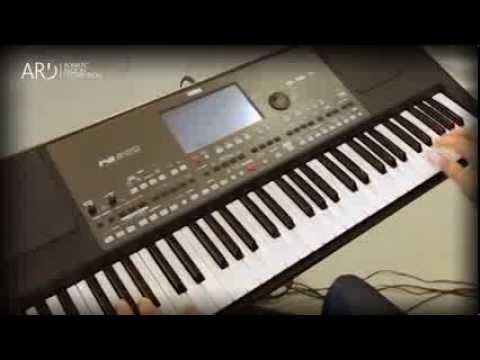 ARD Korg PA 600 Cro