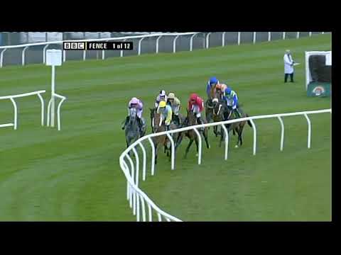 2008 Maghull Novice Chase - Aintree meeting