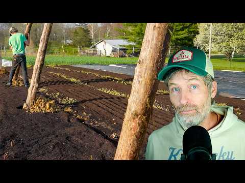 No-Till & Living Fences: Reduce Waste, Boost Regeneration