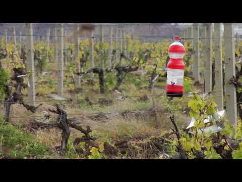 Reč struke ep. 121 19.10.2017. NAJAVA