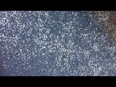 Misha Alperin - Light