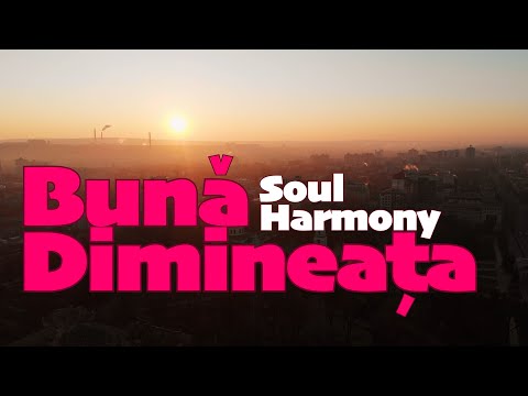 Soul Harmony 💚 Buna Dimineata  [ 528 Hz Music Therapy ] 🌿 Peace and Love 💚
