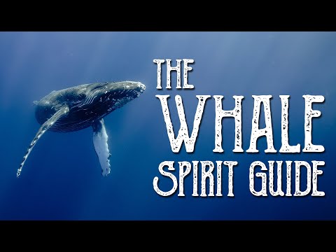 Whale Spirit Guide - Ask the Spirit Guides Oracle - Totem Animal, Power Animal - Magical Crafting