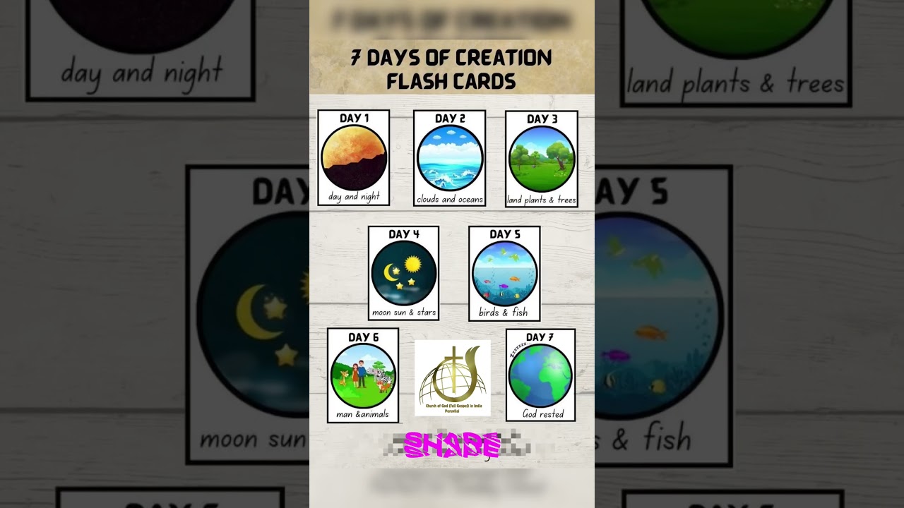7 days of Creation #creations #creationofnature #bible #creationofgod #jesus #christian