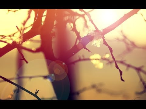 ZAYA HARD BEAT - MI AVENTURA ES...