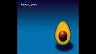 Pearl Jam - Life Wasted
