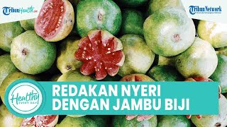 Cara Alami Meredakan Nyeri Menstruasi dengan Jambu Biji, Inilah Sederet Manfaat untuk Tubuh
